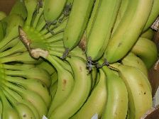 Banana - Emek