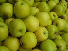 Apples - "Golden"